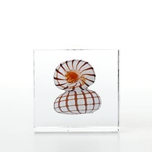 Annual cube 2022 0153