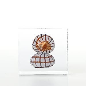 Annual cube 2022 0155