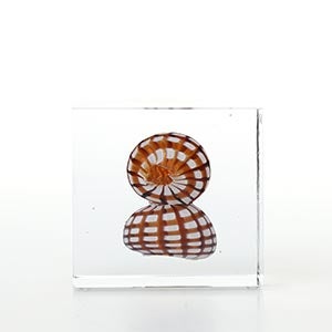 Annual cube 2022 0156