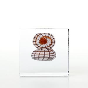 Annual cube 2022 0191