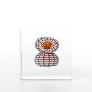 Annual cube 2022 0199