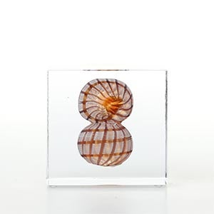 Annual cube 2022 0201