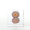 Annual Cube 2022 No.201