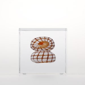 Annual Cube 2022 0107