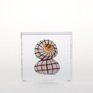 Annual Cube 2022 0155