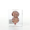 Annual Cube 2022 No.201
