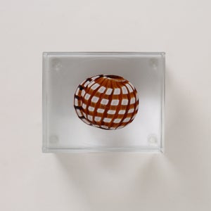 Annual Cube 2022 0197