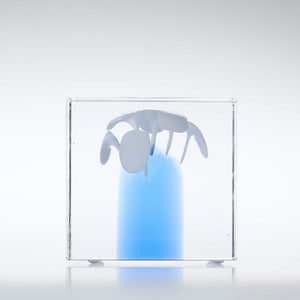 Annual Cube 2024 0209