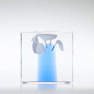 Annual Cube 2024 0220