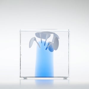 Annual Cube 2024 0220