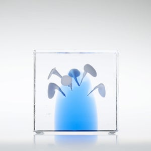 Annual Cube 2024 0260