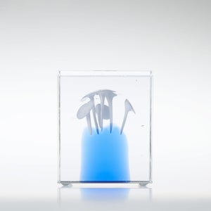 Annual Cube 2024 0258