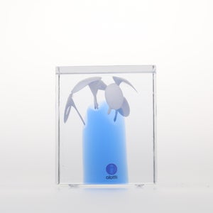 Annual Cube 2024 0209