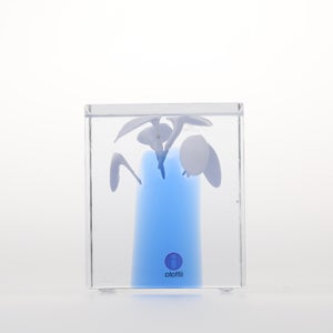 Annual Cube 2024 0220