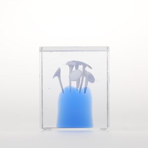 Annual Cube 2024 0258