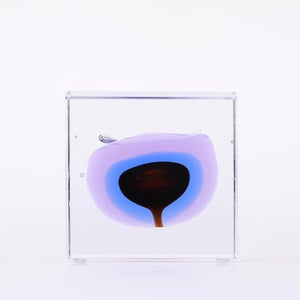 Annual Cube 2025 0073