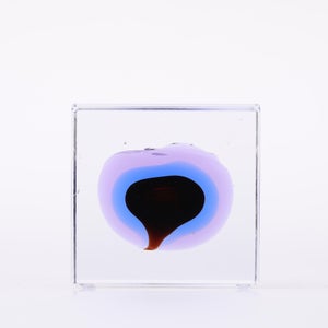 Annual Cube 2025 0085