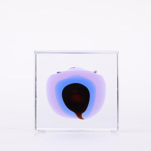 Annual Cube 2025 0098
