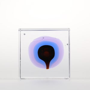 Annual Cube 2025 0104