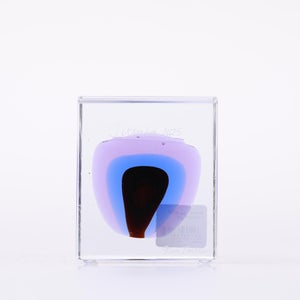 Annual Cube 2025 0094