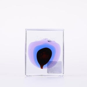 Annual Cube 2025 0098