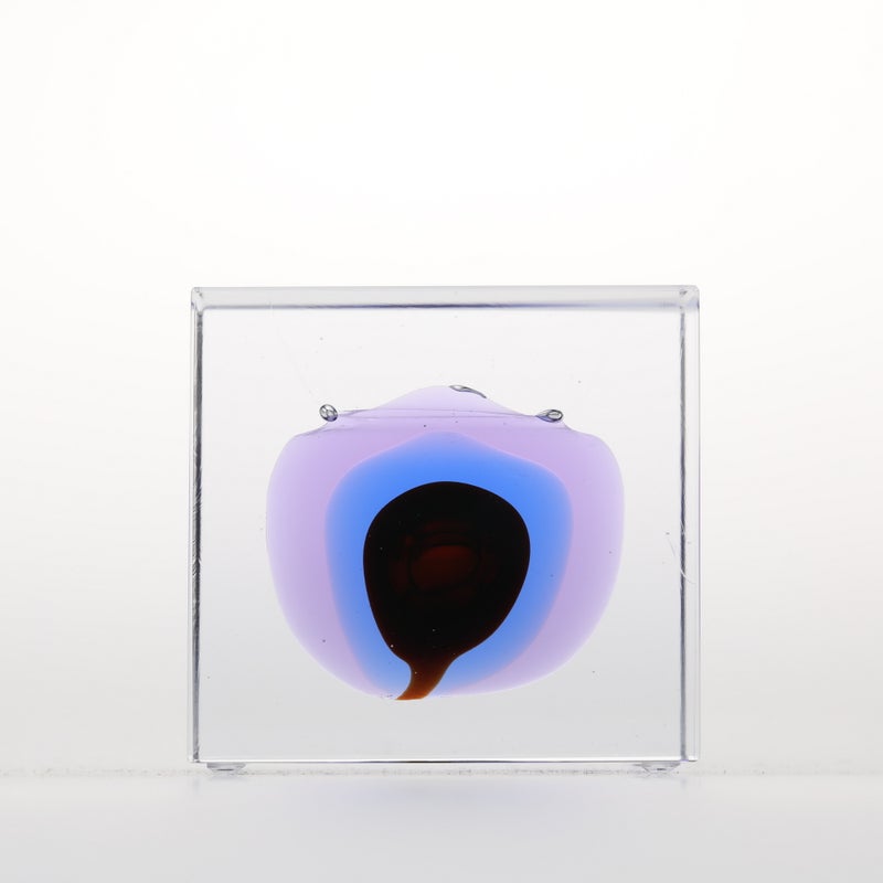 Annual cube | iittala