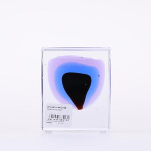 Annual Cube 2025 0072