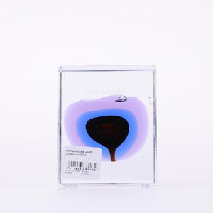 Annual Cube 2025 0073