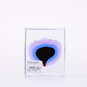 Annual Cube 2025 0085