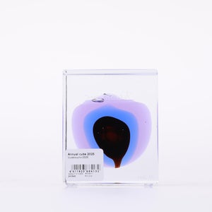 Annual Cube 2025 0098