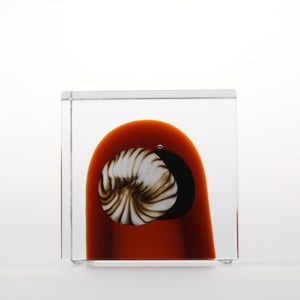 Annual Cube 2026 0006