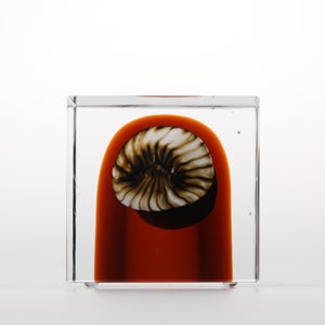 Annual Cube 2026 0008