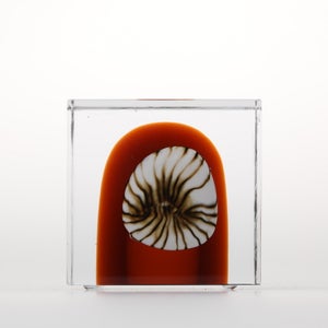 Annual Cube 2026 0011