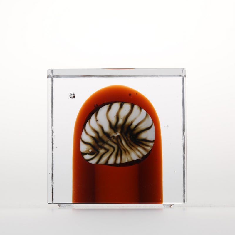 1977年から続くアニュアルキューブ | iittala / Annual cube
