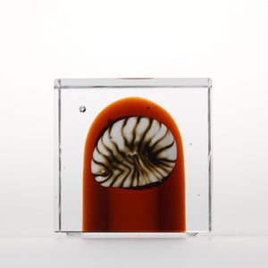 Annual Cube 2026 0026