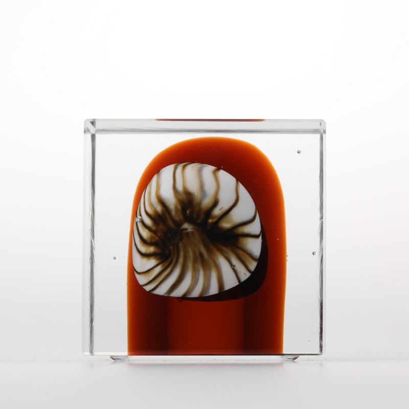 1977年から続くアニュアルキューブ | iittala / Annual cube