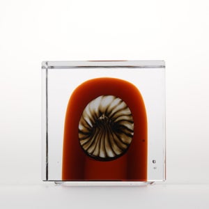 Annual Cube 2026 0028