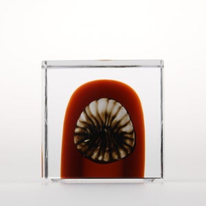 Annual Cube 2026 0029