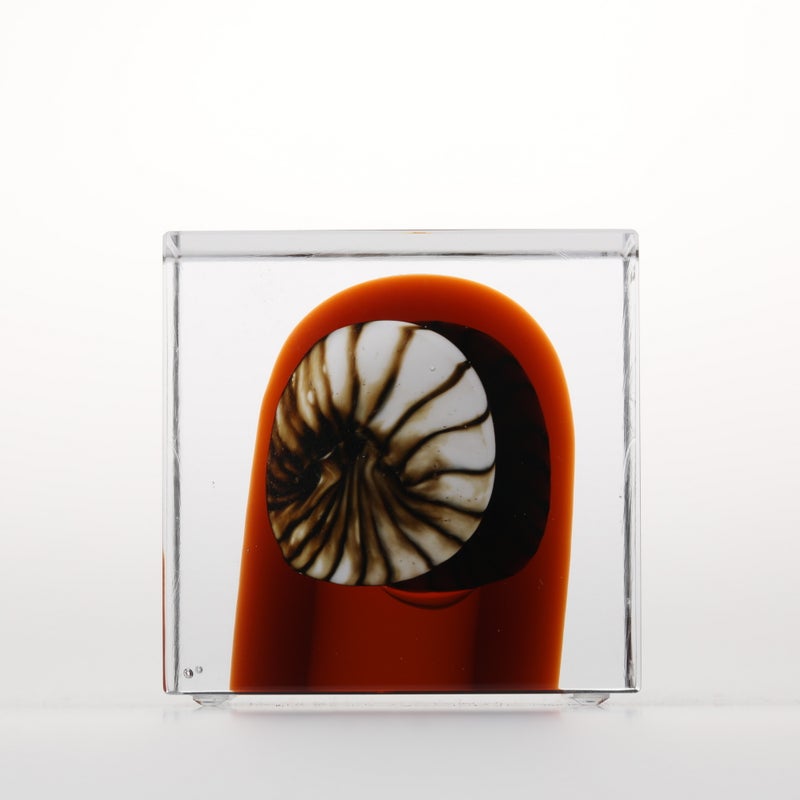 1977年から続くアニュアルキューブ | iittala / Annual cube