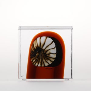 Annual Cube 2026 0030