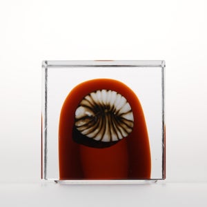 Annual Cube 2026 0031