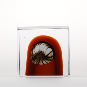 Annual Cube 2026 0059