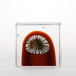 Annual Cube 2026 0061