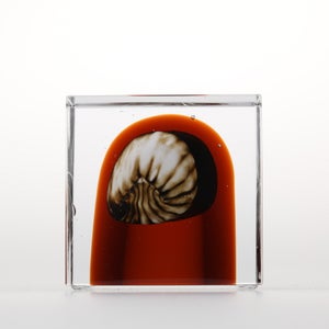 Annual Cube 2026 0106