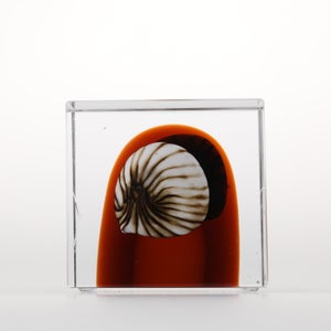 Annual Cube 2026 0113