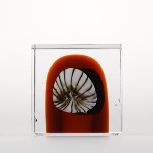 Annual Cube 2026 0126