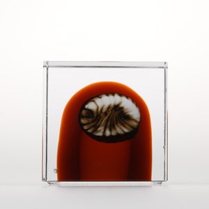 Annual Cube 2026 0127