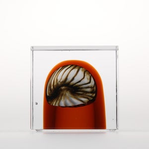 Annual Cube 2026 0134