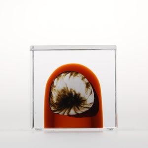 Annual Cube 2026 0135