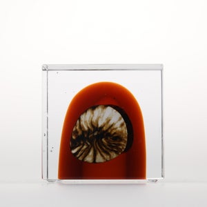 Annual Cube 2026 0136